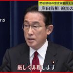 【岸田首相】ロシアに追加の制裁発表 「決して看過できない」