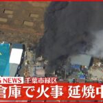 【速報】倉庫から出火…延焼中 千葉市緑区