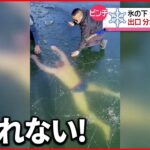 【ピンチ】氷の下泳ぐも出口分からず… 危機一髪 スロバキア