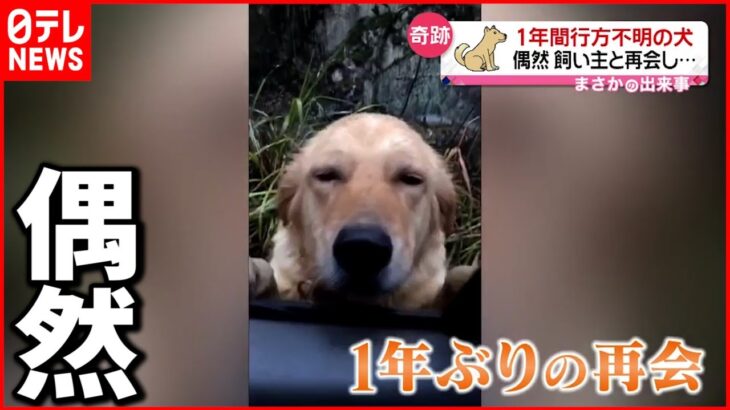 【まさか】行方不明だった犬… 飼い主と”１年ぶり”の再会 中国