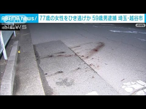 77歳女性をひき逃げか　59歳の男逮捕　埼玉・越谷市(2022年2月18日)