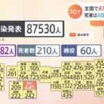 新型コロナ 全国で8万7千人超 死者4日連続200人超