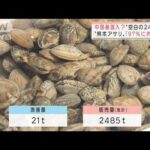 “熊本アサリ”97％に外国産混入か　中国産？“空白の2400t”(2022年2月1日)