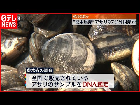 【産地偽装か】“熊本県産”アサリ97％外国産か 農水省が公表