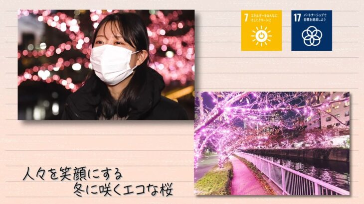 【SDGs】桜色の希望の灯りが人々を笑顔に、冬に咲くエコな桜（2022 /2/1）