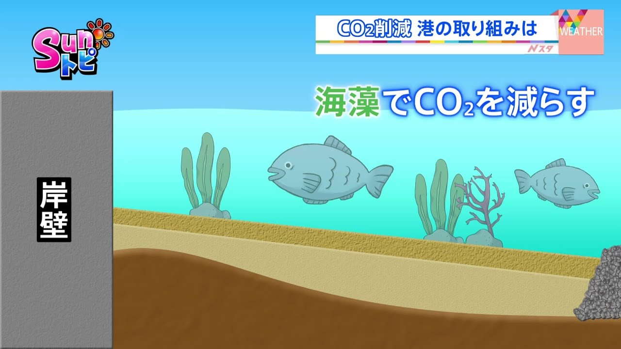 港のエコ活動「カーボンニュートラルポート」【SUNトピ】