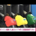 【速報】ガソリン価格　前週比0.6円安の1Lあたり174円　2週連続↓(2022年3月30日)