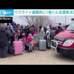 ウクライナ避難民へ1億ドルの人道支援を決定　日本政府　(2022年3月11日)