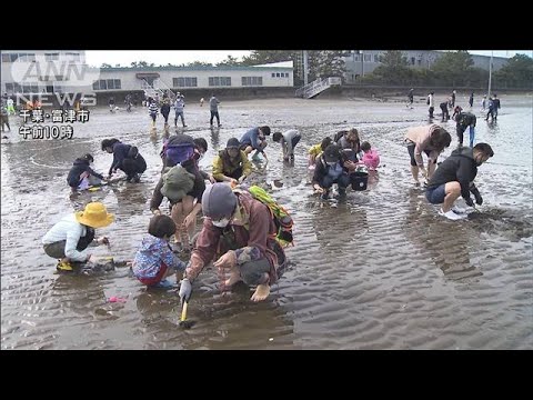 潮干狩りオープン　1時間ほどで網いっぱいに　千葉(2022年3月19日)