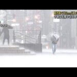 西日本中心に大雨“一日で1カ月分”　雨雲、東へ(2022年3月26日)