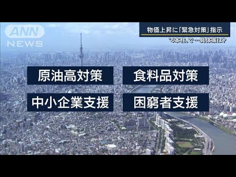 『ウクライナ』『円安』物価上昇に“緊急対策”指示　“4本柱”の具体策は？(2022年3月29日)