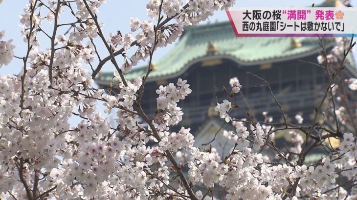 大阪で桜が満開！　平年より５日早く大阪城には大勢の花見客　西の丸庭園では「シートは敷かないで」