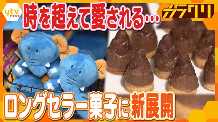 「たべっ子どうぶつ」「たけのこの里」…時を超えて愛されるロングセラー菓子の新たな戦略とは！