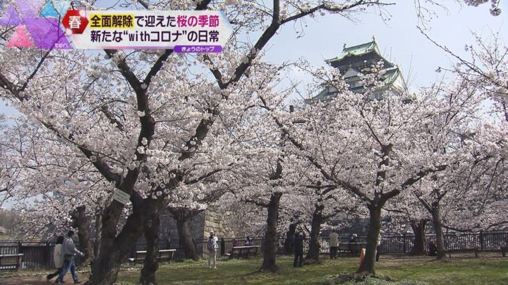 【春爛漫】桜満開の大阪城公園　花見を楽しむ多くの人の姿も　京都の土産店も声弾む