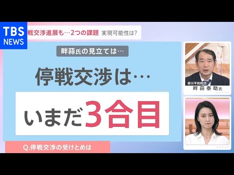 専門家が解説！ウクライナ情勢 停戦交渉に“一定の進展” 新たな安全保障は？停戦の行方は？【news23】