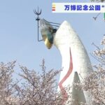 整備されて５０年の万博記念公園で桜満開　９品種５０００本の桜が園内を彩る（2022年3月31日）