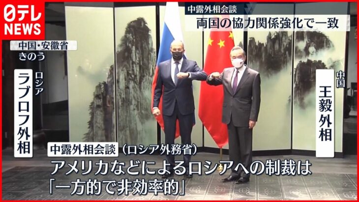 【中露外相会談】両国の協力関係強化で一致