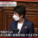 【国会】「原発は武力攻撃に対応可能か」野党ただす