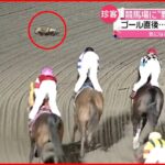 【珍客】なぜ現れた？ 競馬場にタヌキ乱入 ジョッキーも思わず２度見