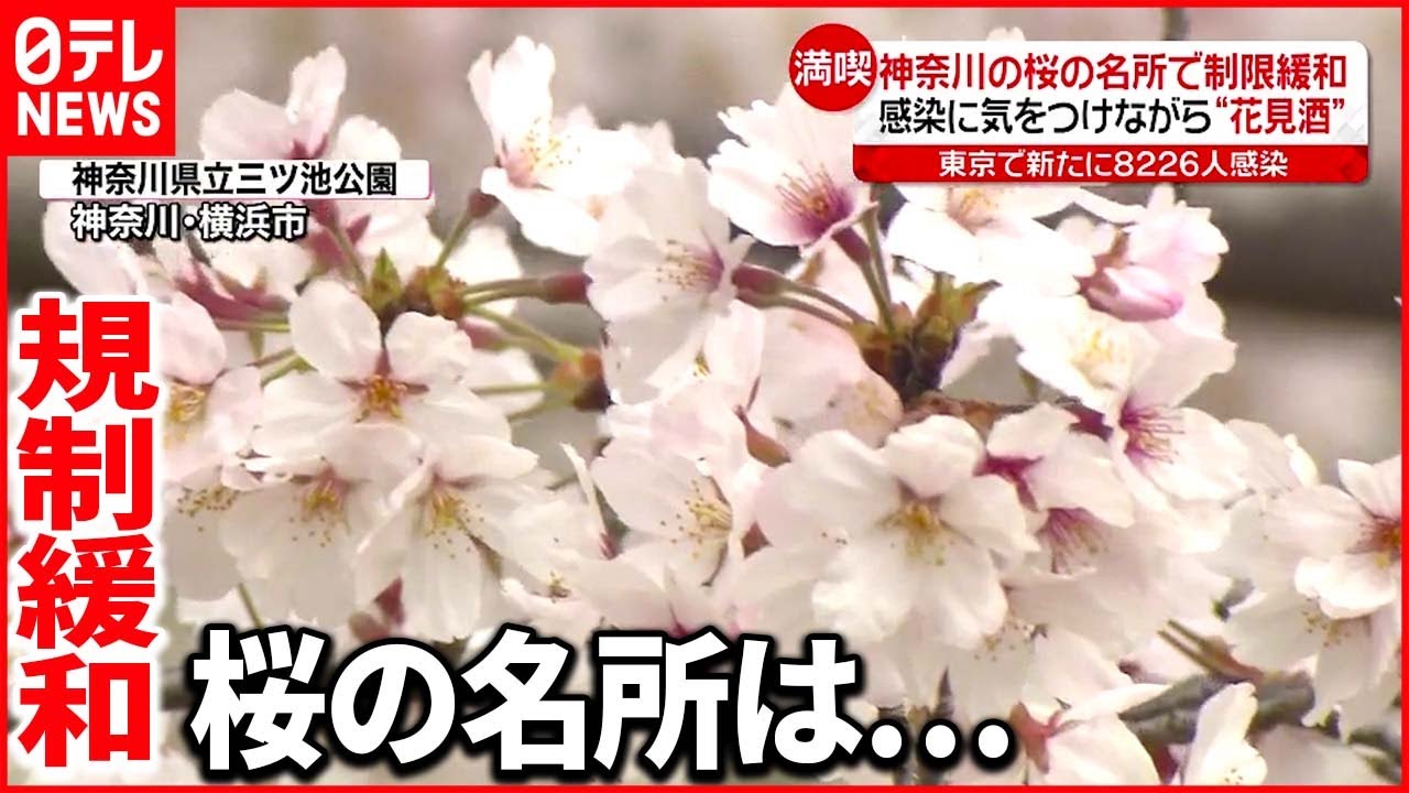 【新型コロナ】感染者が増加傾向も…気をつけながら”花見酒”