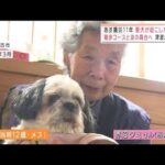 【震災11年】津波から飼い主を守った老犬　行政を動かす(2022年3月10日)