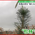 【震災から11年】松林の再生“新たな街”の課題は？ 岩手･陸前高田市