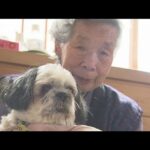 【震災11年】津波からタミおばあちゃんを守った愛犬バブ　“奇跡”が行政を動かす(2022年3月11日)