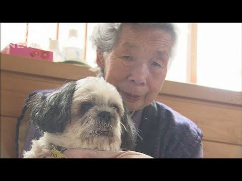 【震災11年】津波からタミおばあちゃんを守った愛犬バブ　“奇跡”が行政を動かす(2022年3月11日)