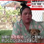 【15匹の犬処分】夫婦”感染”で当局が… 寄付で新たに犬保護 ベトナム