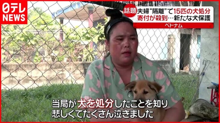 【15匹の犬処分】夫婦”感染”で当局が… 寄付で新たに犬保護 ベトナム
