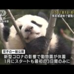 上野動物園の双子パンダが公開再開　抽選倍率は15倍(2022年3月25日)