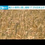 【速報】政府 輸入小麦の売渡価格17.3％引き上げへ 4月以降(2022年3月9日)
