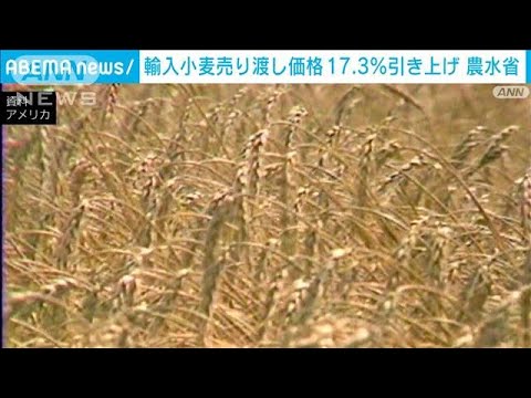 【速報】政府 輸入小麦の売渡価格17.3％引き上げへ 4月以降(2022年3月9日)