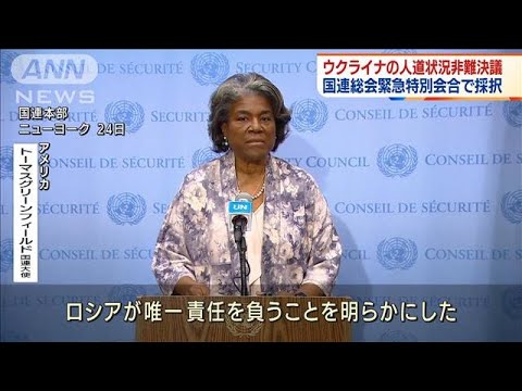 ウクライナの人道状況非難決議、国連総会で採択(2022年3月25日)