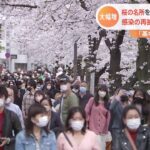 まん延防止解除と桜満開で人出が増加 感染者も2日連続で前の週を上回る