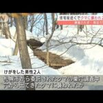クマに襲われ2人負傷　捕獲されず警戒続く　札幌(2022年3月31日)