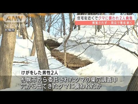 クマに襲われ2人負傷　捕獲されず警戒続く　札幌(2022年3月31日)