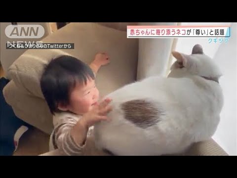 赤ちゃんにそっと寄り添うネコが「尊い」と話題(2022年3月9日)