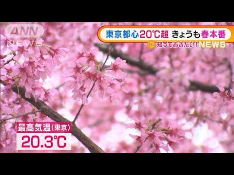 東京都心20℃超で“春本番”　薄着の皇居ランナーも(2022年3月16日)