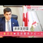 ジョージア駐日大使「日本は“非非友好国”」(2022年3月9日)