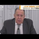 ラブロフ外相　首脳会談の早期実現に否定的(2022年3月29日)