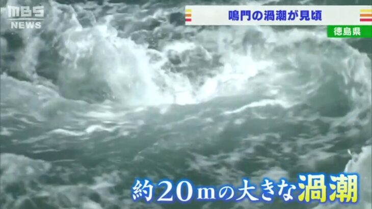 鳴門の『渦潮』が見頃…干潮時には「20mほどの大きな渦潮」も出現　観光客で賑わい(2022年3月21日)
