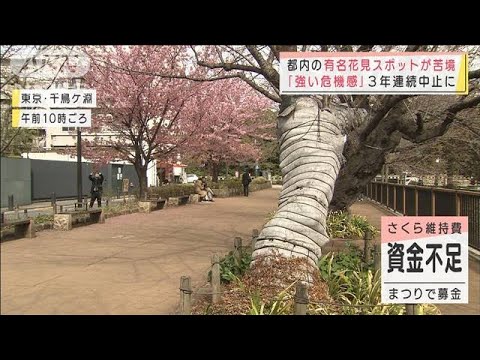 「まん延防止」21日に一斉解除も・・・都内の有名花見スポット3年連続中止に(2022年3月16日)