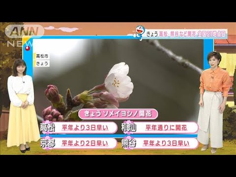 【全国の天気】高松・熊谷など桜開花　全国21地点目(2022年3月24日)