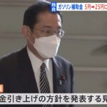 【独自】政府ガソリン補助金 上限25円への引き上げ固める あす岸田総理が発表へ