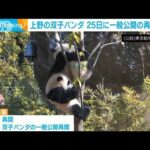 上野動物園の双子パンダ　25日に一般公開の再開決定(2022年3月18日)