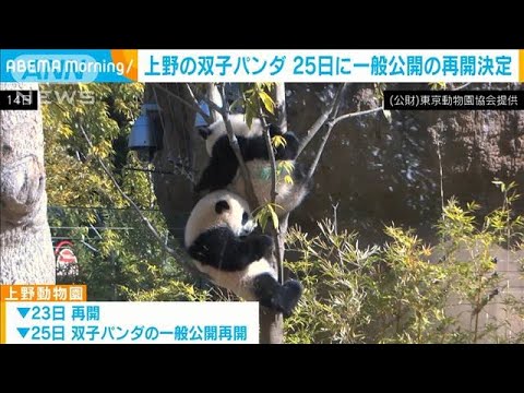 上野動物園の双子パンダ　25日に一般公開の再開決定(2022年3月18日)