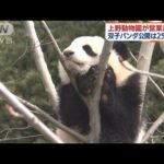 双子パンダは25日から公開　上野動物園が営業再開(2022年3月23日)