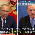 【ロシアとウクライナ】28日にもトルコで“対面式協議”へ