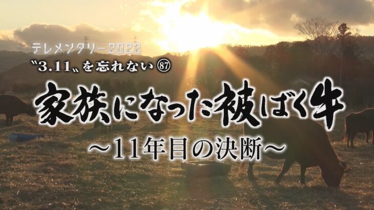 “3.11”を忘れない87　家族になった被ばく牛～11年目の決断「おらの牛は何も悪いことしてねぇ…」【テレメンタリー2022】【KFB福島放送】